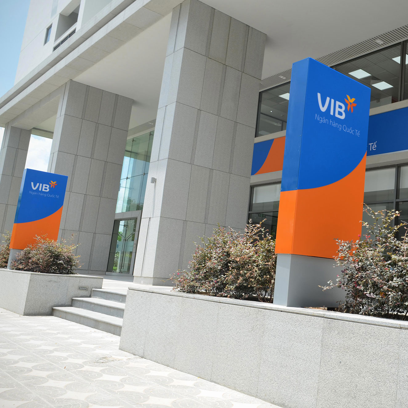 VIB (PMH)